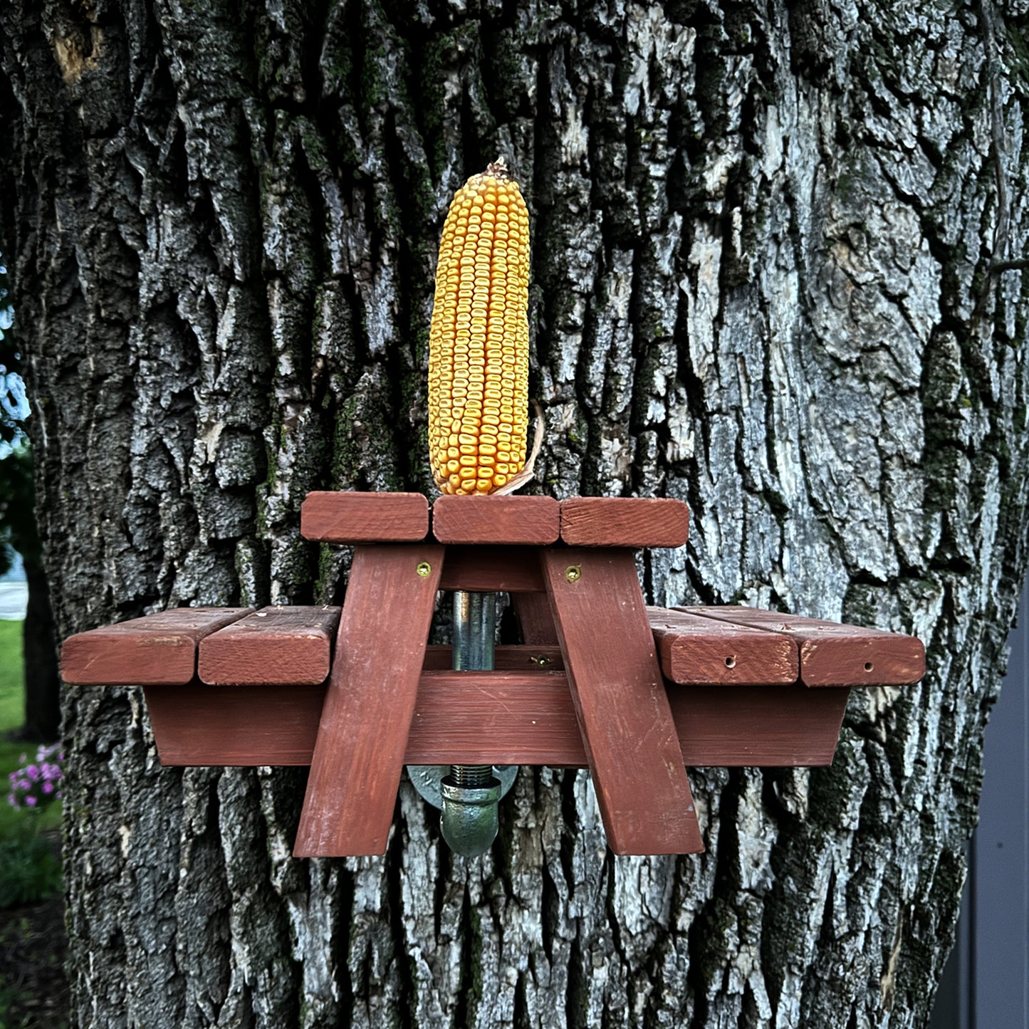 Squirrel Picnic Table Feeder