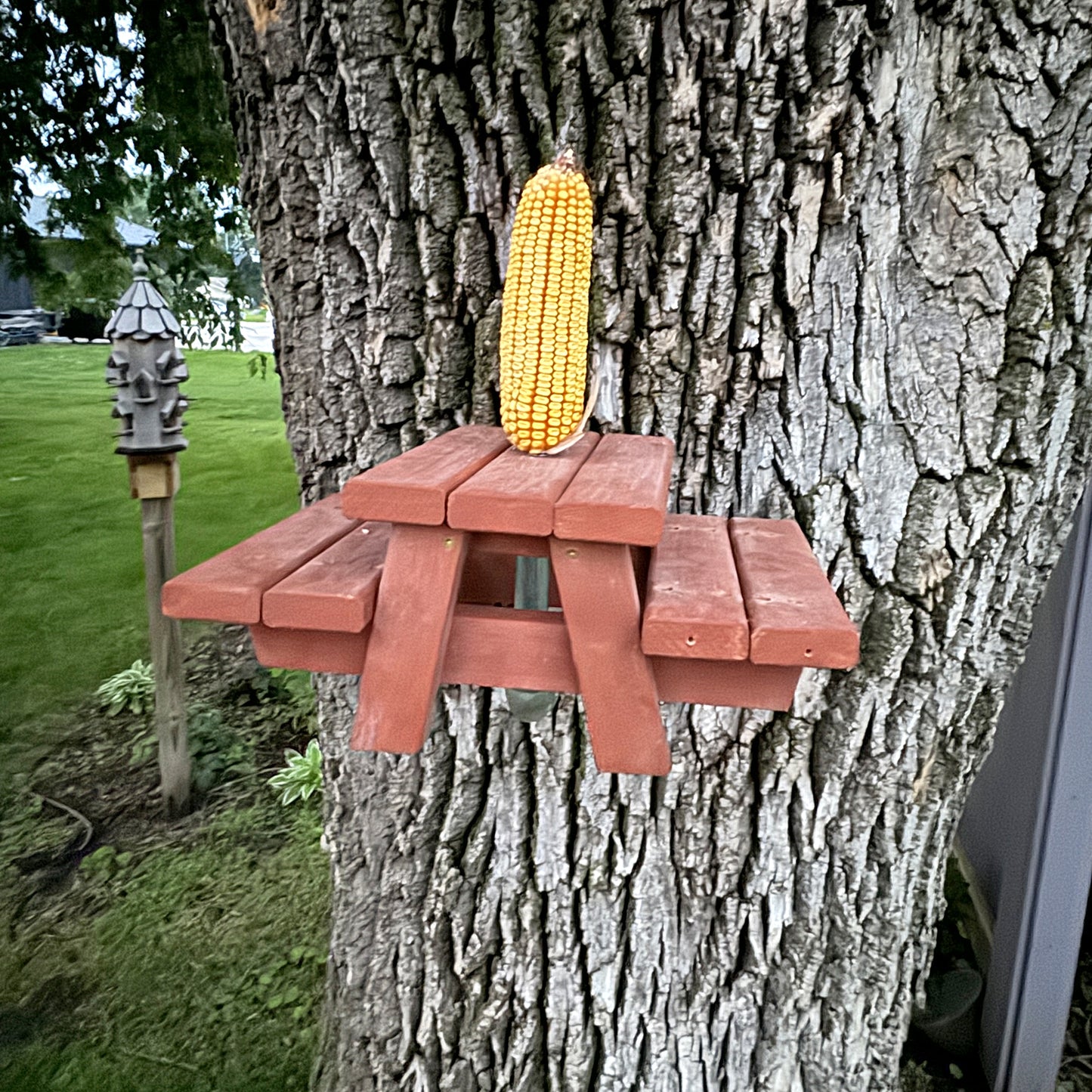 Squirrel Picnic Table Feeder