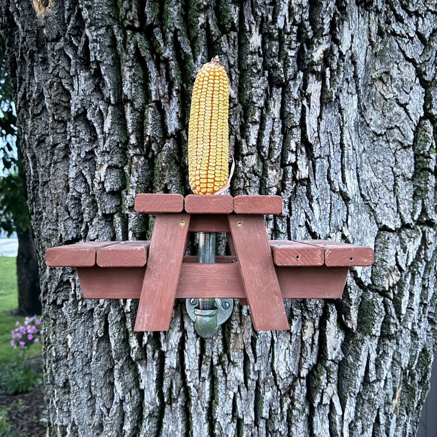 Squirrel Picnic Table Feeder