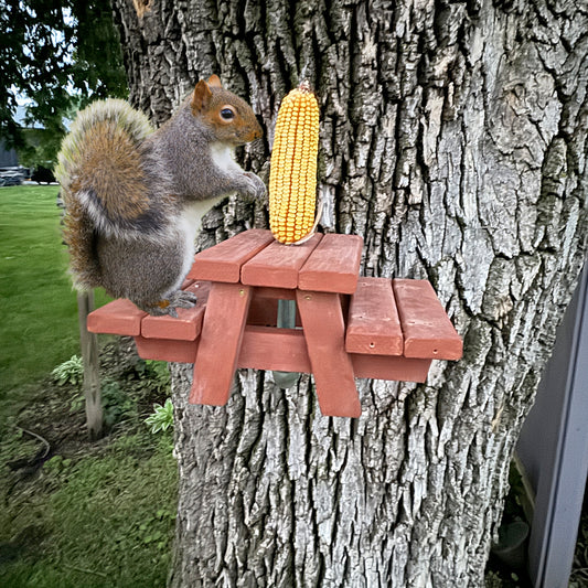 Squirrel Picnic Table Feeder